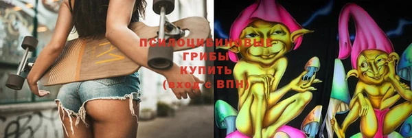 ПСИЛОЦИБИНОВЫЕ ГРИБЫ Магас
