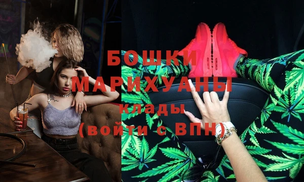 ПСИЛОЦИБИНОВЫЕ ГРИБЫ Магас