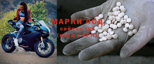 ПСИЛОЦИБИНОВЫЕ ГРИБЫ Магас