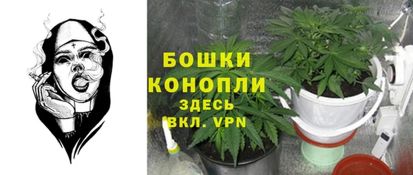 ПСИЛОЦИБИНОВЫЕ ГРИБЫ Магас