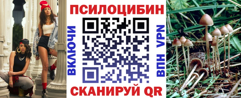 Псилоцибиновые грибы Cubensis  Купить  Арамиль 
